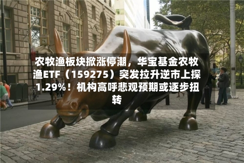 农牧渔板块掀涨停潮，华宝基金农牧渔ETF（159275）突发拉升逆市上探1.29%！机构高呼悲观预期或逐步扭转-第2张图片